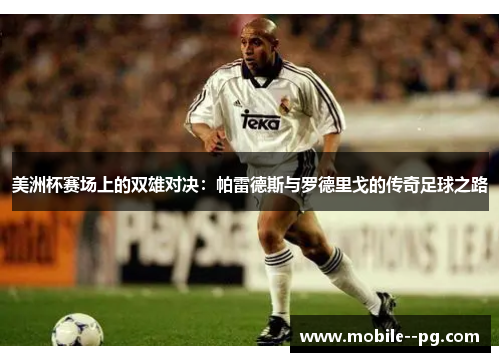 美洲杯赛场上的双雄对决:帕雷德斯与罗德里戈的传奇足球之路