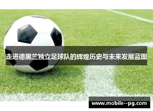 走进德黑兰独立足球队的辉煌历史与未来发展蓝图