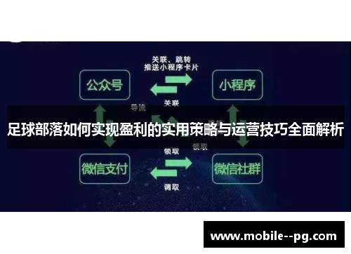 足球部落如何实现盈利的实用策略与运营技巧全面解析