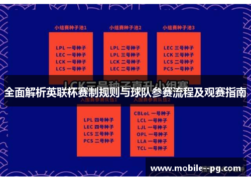 全面解析英联杯赛制规则与球队参赛流程及观赛指南