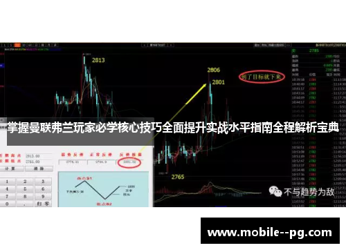 掌握曼联弗兰玩家必学核心技巧全面提升实战水平指南全程解析宝典 掌握曼联弗兰玩家必学核心技巧全面提升实战水平指南全程解析宝典