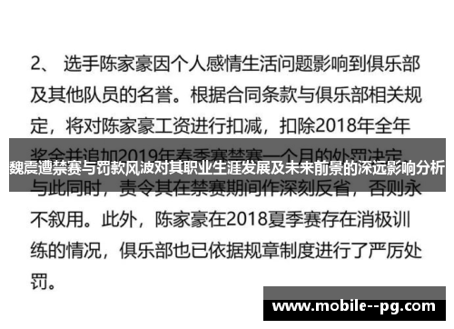 魏震遭禁赛与罚款风波对其职业生涯发展及未来前景的深远影响分析