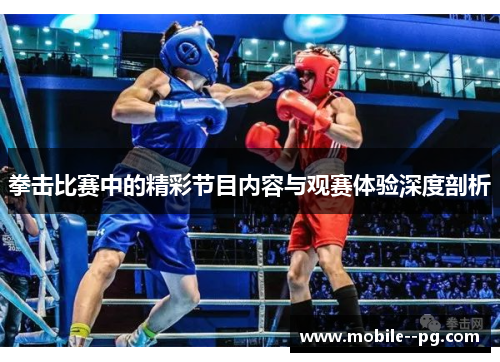 拳击比赛中的精彩节目内容与观赛体验深度剖析