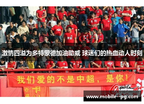 激情四溢为多特蒙德加油助威 球迷们的热血动人时刻