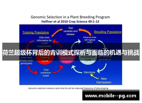 荷兰超级杯背后的青训模式探析与面临的机遇与挑战