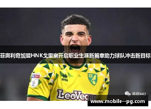 菲奥利奇加盟HNK戈里察开启职业生涯新篇章助力球队冲击新目标