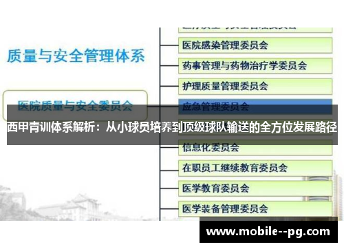 西甲青训体系解析：从小球员培养到顶级球队输送的全方位发展路径