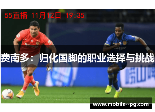 费南多：归化国脚的职业选择与挑战