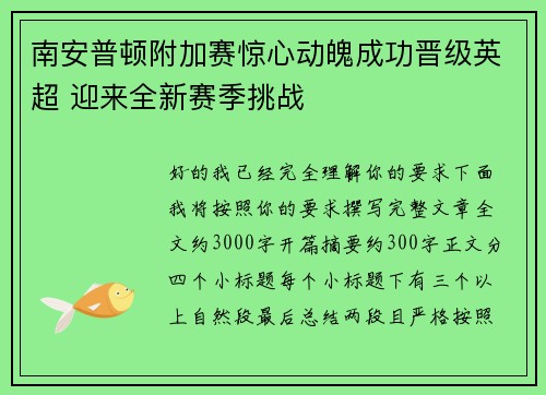 南安普顿附加赛惊心动魄成功晋级英超 迎来全新赛季挑战