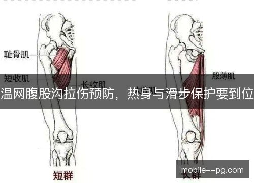 温网腹股沟拉伤预防，热身与滑步保护要到位